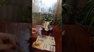 Таро.Жизнь мужчины.