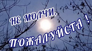 НЕ МОЛЧИ, ПОЖАЛУЙСТА! / ВАЛЕРИЙ СЁМИН