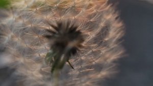 Сочинская осень.