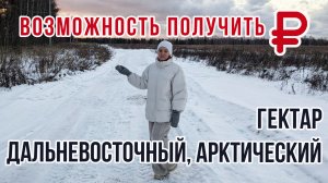 Дальневосточный и арктический гектар - стратегии заработка | Кто заплатит миллионы?