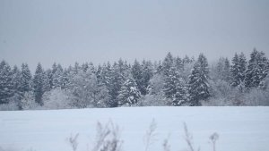 Народные приметы на 24 ноября: что можно и нельзя делать