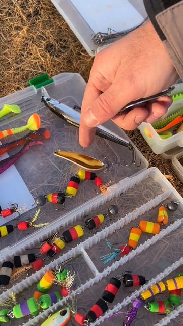 Какие приманки использовать при ловли щуки