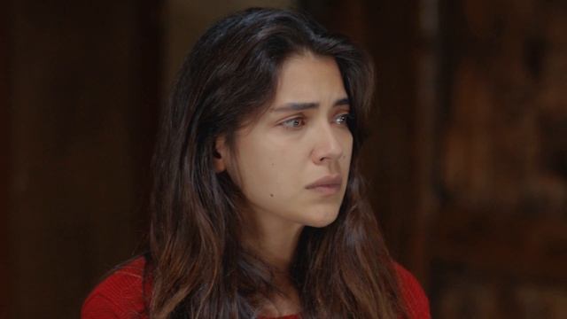 Плотина 26 серия (сериал, 2020)