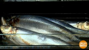 Как вы там, селедки в бочке? Доброе утро. Фрагмент выпуска от 24.11.2025