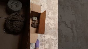 1000037727.mp4. . . \\\🇬🇧///. . . \\\🇬🇧///. . . День у бабушки с дедом. . . \\\🇬🇧///. . . \\\