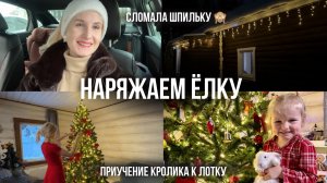 НАРЯЖАЕМ ЁЛКУ, СОСТАВЛЯЕМ СЛОВА, НОВЫЙ ОБРАЗ | Обучение кролика лотку и содержание без вольера