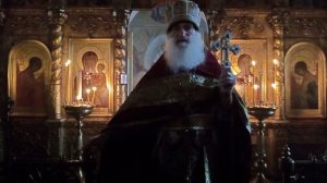 Проповедь прот. Николая Германского 23.11.2025
