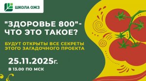 "ЗДОРОВЬЕ 800" - ЧТО ЭТО ТАКОЕ - Школа ОЖЗ 25.11.2025