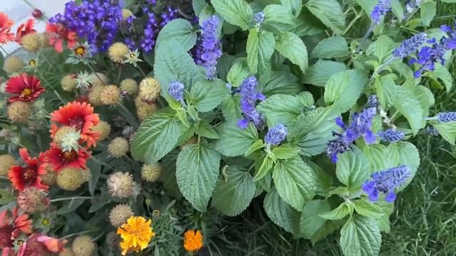 ВЛОГ Алиса отрастила ногти и сделала маникюр у Алёны ! Разбираю коробки которые привезли от мамы ! смотреть онлайн