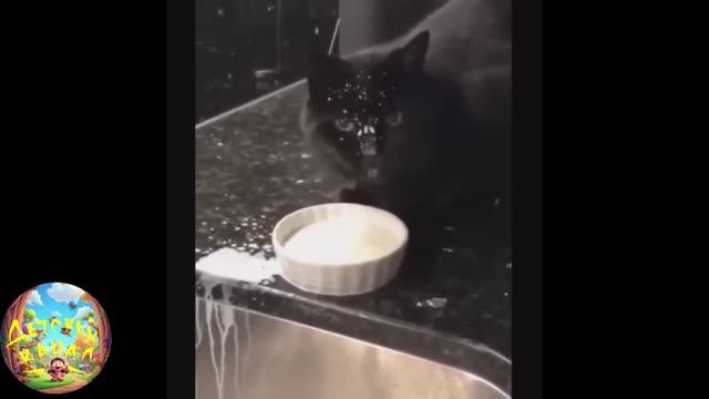 Улучшатель настроения! #1