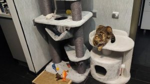 перестановка пока не зашла