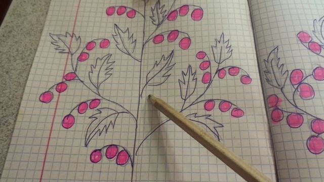 2 ТОМАТА В ОДНУ ЛУНКУ. Часть 1. КАКИЕ ПРЕИМУЩЕСТВА ПРИ ВЫРАЩИВАНИИ ДЕТЕРМИНАНТНЫХ СОРТОВ? 2018 год.