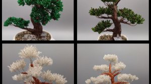 Настольные деревья. Мини садик. https://t.me/minigardenZ