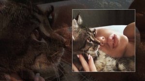 Kennedy Vintage - Подожди немного (Официальная премьера трека)