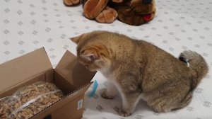 Ozon и Wildberries,РАСПАКОВКА.🎁