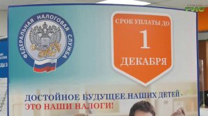 ФНС напоминает самарцам: до 1 декабря нужно заплатить налоги