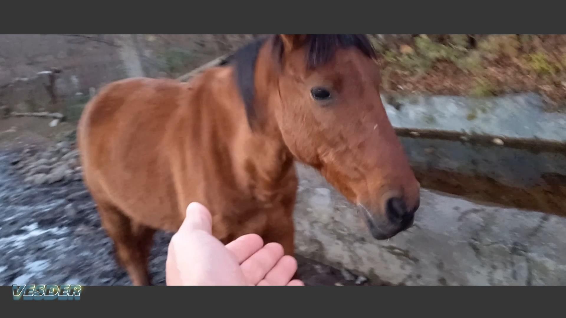 VESDER 💖I love nature💖