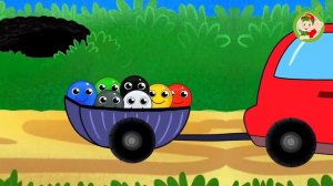 Мячики ⚽🏀🏐