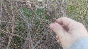 21-23 ноября 2025