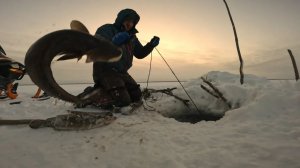 МОРОЗНАЯ ПРОВЕРКА НА ЗАКАТЕ | ПЕРЕМЕТ 23.11.2025