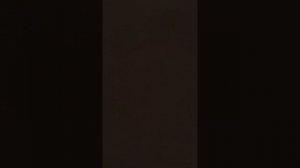 22 февраля 2022 г.