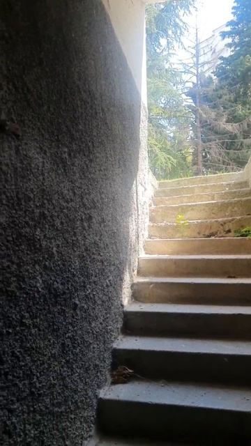 Севастопольцы помогают фронту смотреть онлайн