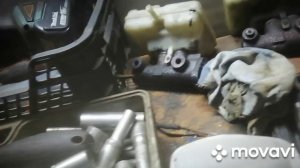 MovaviClips_Video_20251123-030349.mp4