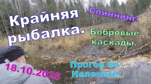Рыбалка в октябре 2025 на Неленьге . Бобровые каскады.