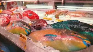 Окинавские радужные рыбки, веслонос и другие - Восточная Азия