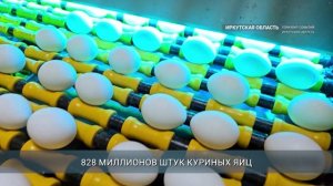 Главные новости Иркутской области, 24 ноября 2025 года