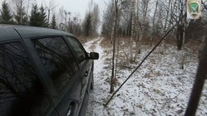 Загонная охота на лося 22.11.2025