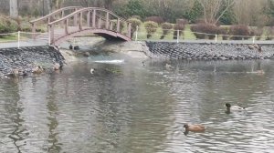 Пенсионерам это необходимо!