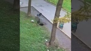 Мальчик упал в люк