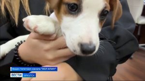 Владимир Путин подарил щенка девочке из Иркутской области