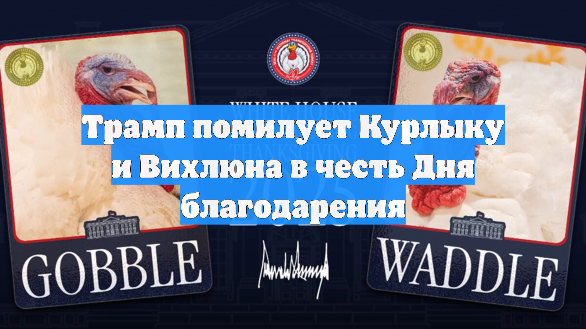 Трамп помилует Курлыку и Вихлюна в честь Дня благодарения