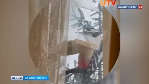 Дятел стал неожиданным гостем у жительницы Уфы