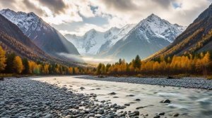 История из жизни. «ДЕТСКИЙ ДАР»