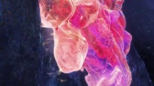 Новый трейлер и постер полнометражного аниме Изгнанные из рая Резонанс сердца