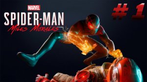 №1⏩Marvel's Spider-Man: Miles Morales🕷️ДРУГИЕ ПРИКЛЮЧЕНИЯ🕷️
