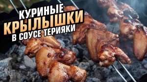 Куриные крылышки в соусе терияки готовлю на шампурах!