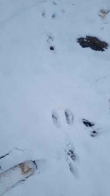 как легко потерять след смотреть онлайн