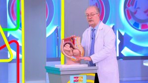 Врачи рассказали, кому противопоказаны сыры с плесенью