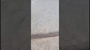 Провели воду к вольерам на новой земле