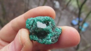 Диопатаз купить