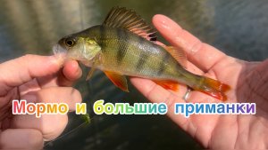 Мормышинг + крупные приманки = ❤️