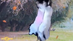 Вахтовый роман...