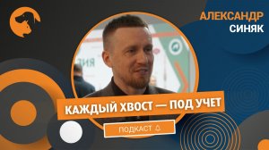 Почему нужно обязательно чипировать собак?