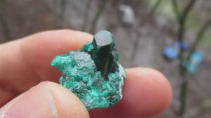 Диопатаз купить