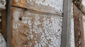 сельская жизнь