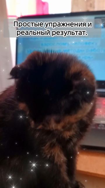 Исправляем картавость на звук Р без стресса! смотреть онлайн